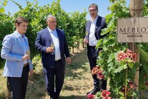 DIVNO POPODNE SA PRIJATELJEM: Predsednik Vučić i premijerka Brnabić ugostili Orbana u sremskim vinogradima (FOTO)