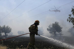 POŽAR NA PELEPONEZU: Četiri sela u blizini Patrasa evakuisana! Bolnica u pripravnosti, a mobilisano i 95 vatrogasaca