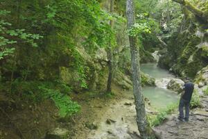 NEVEROVATNA EGZOTIČNA OAZA U SRCU SRBIJE: Tirkizna voda i mnoštvo zelenila stvaraju nesvakišdašnje prizore (FOTO)