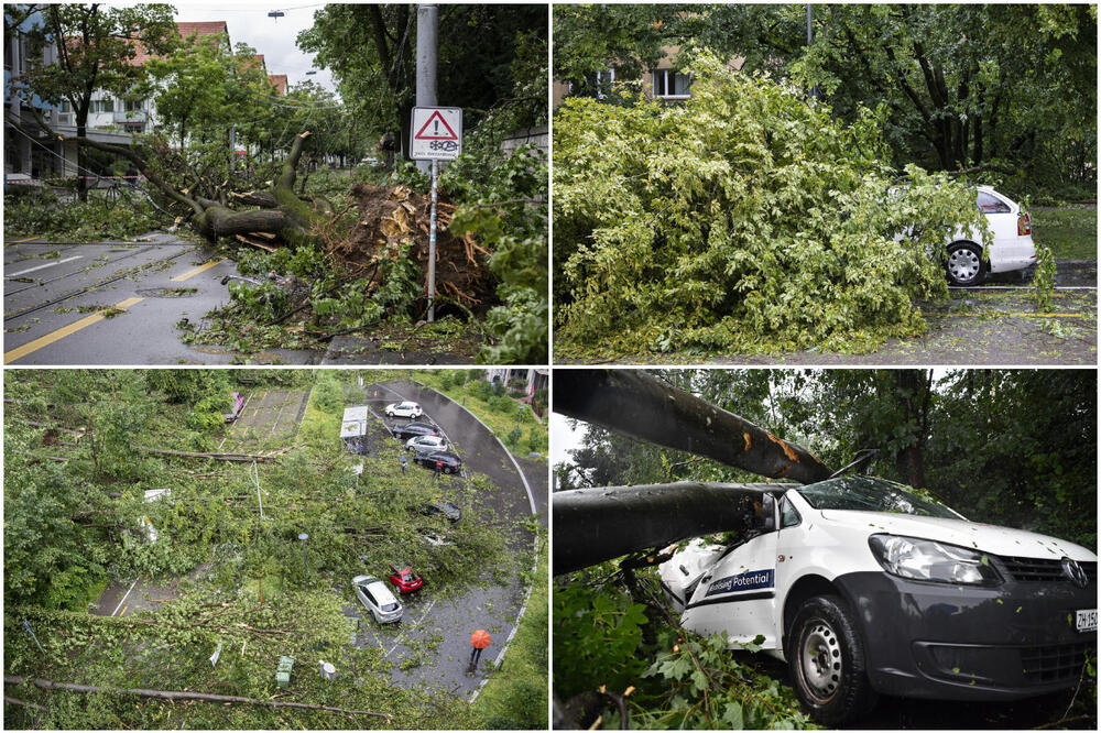 REKORDNE PADAVINE U ŠVAJCARSKOJ: U Cirihu palo više od 4 cm kiše tokom noći, srušena stabla blokirala saobraćajnice FOTO, VIDEO
