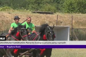 RAJ ZA LJUBITELJE KONJA U KRAGUJEVCU: Tradicionalna fijakerijada okupila učesnike i publiku iz cele Srbije