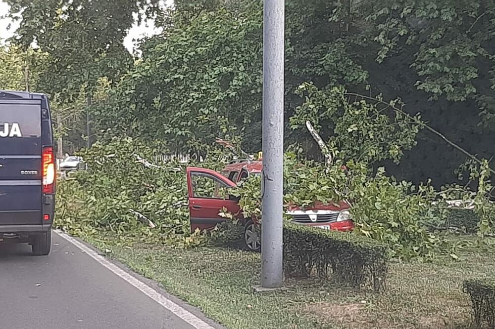 HAOS KOD MILOŠEVOG KONAKA: Drvo se srušilo na taksi u pokretu, saobraćaj blokiran! FOTO