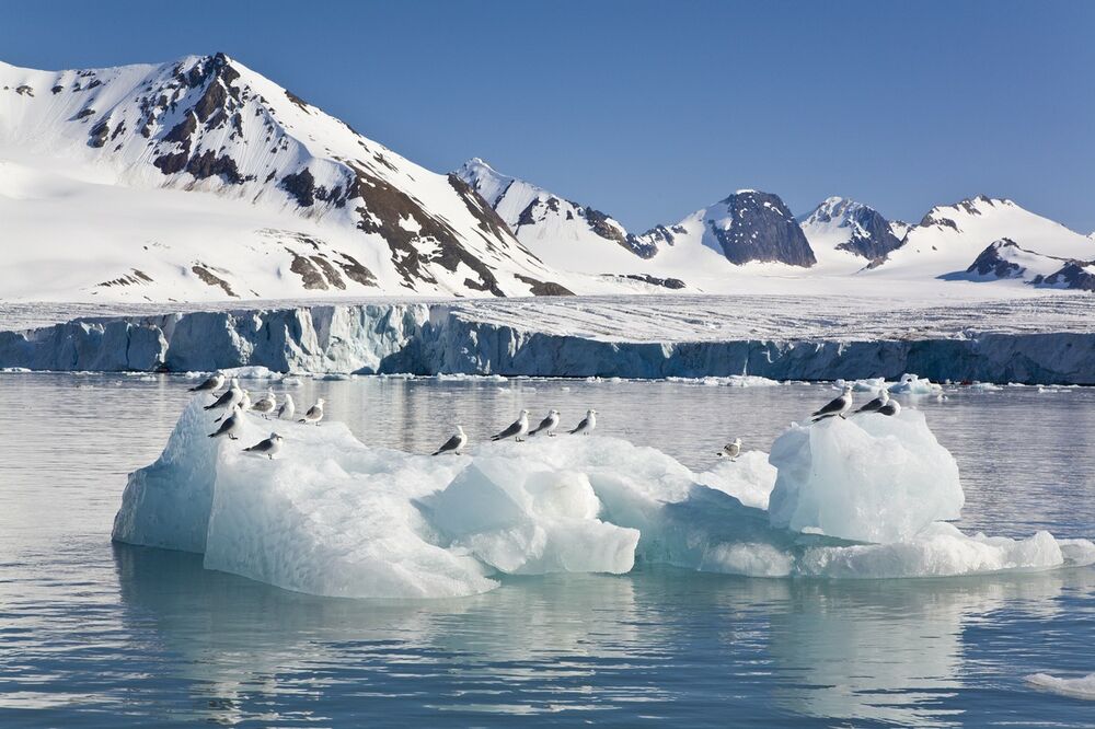 Arktik, Barencovo more, led