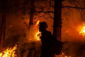 ZAPAD AMERIKE U PLAMENU: Požar Diki spaljuje domove u Kaliforniji, širi se ka zapadu, Butleg u Oregonu usporio ali se ne predaje