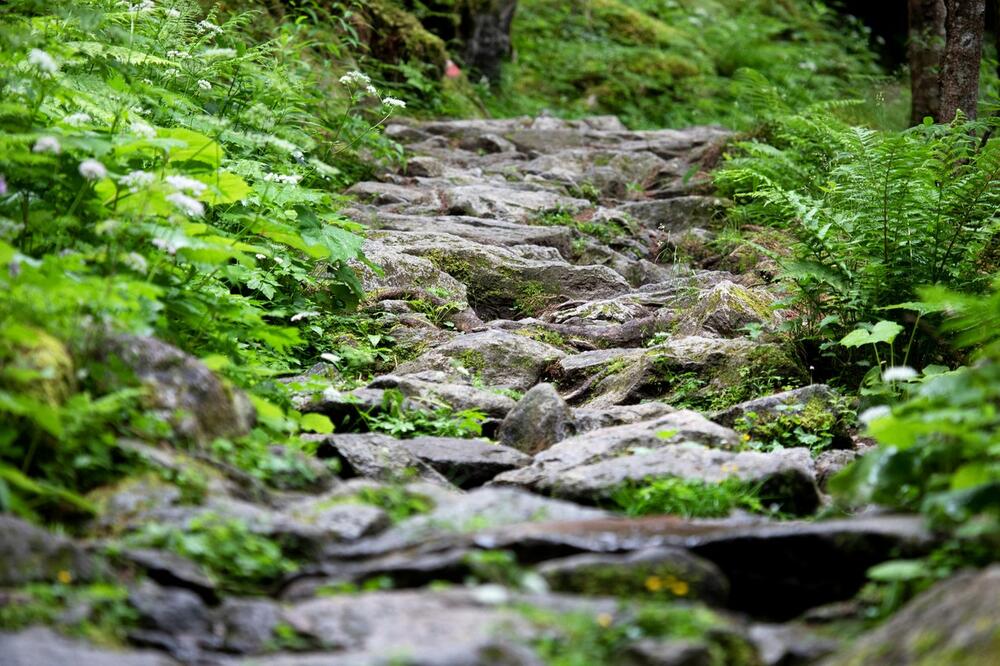 NAJNOVIJE OTKRIĆE Na drevnom nemačkom groblju iskopan misteriozni kostur konja bez glave