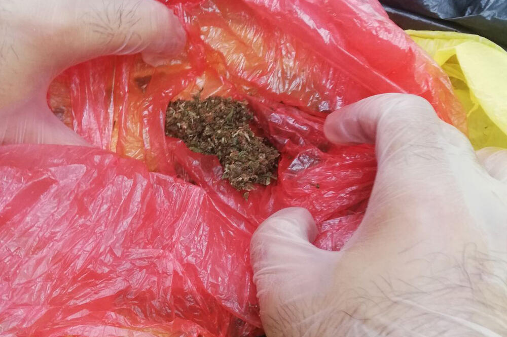 2 KRAGUJEVČANINA UHAPŠENA ZBOG MARIHUANE: Policija zaplenila 624 grama droge