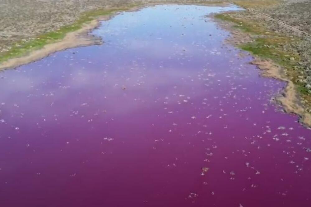 RUŽIČASTA LAGUNA U ARGENTINI Voda promenila boju zbog zagađenja hemikalijama FOTO, VIDEO