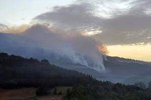 3 HELIKOPTERA RANO JUTROS KRENULA U GAŠENJE POŽARA U NEGBINI: Gori 150 hektara četinarske šume, bori se 70 vatrogasaca FOTO