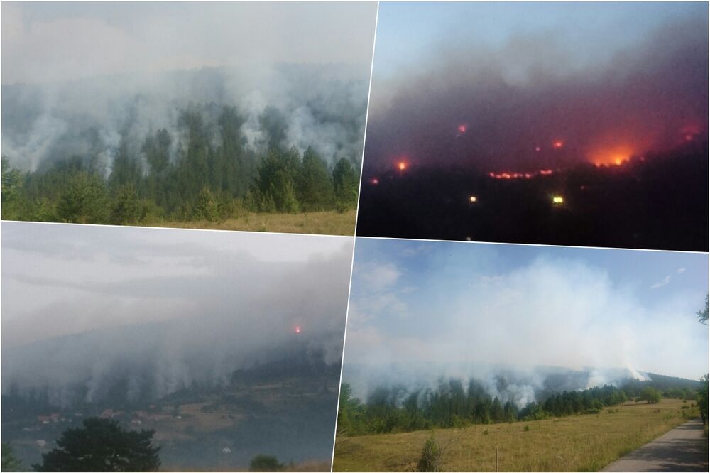 HELIKOPTERI STIGLI NA MURTENICU: Teška borba sa vatrenom stihijom, gore desetine hektara borove šume