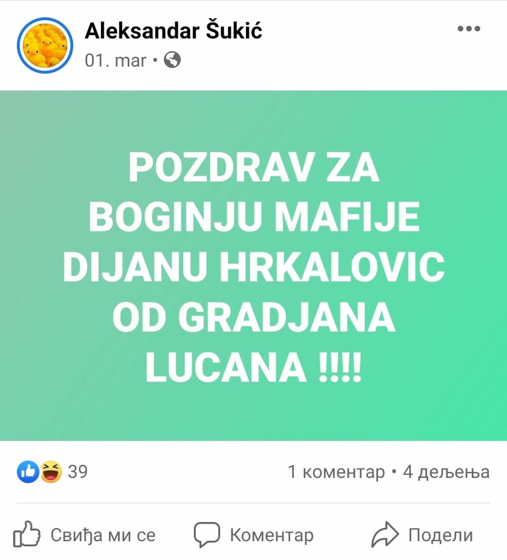Aleksandar Šukić, Dijana Hrkalović