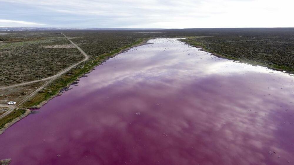 Argentina, pink jezero, Patagonija, Čubut, laguna