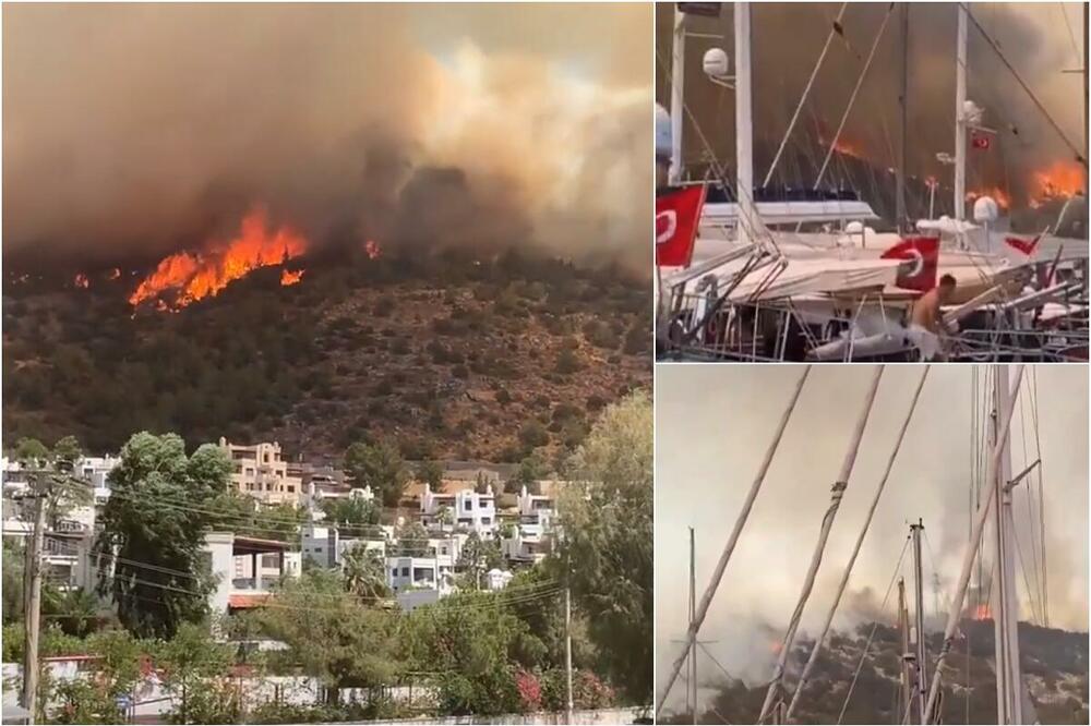 VATRENA STIHIJA GUTA ŠUMU IZNAD BODRUMA: Dok se požar širi, vatrogasci i helikopteri gase, a turisti se evakiušu! VIDEO