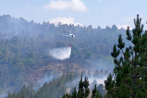 LOKALIZOVAN POŽAR NA MOKROJ GORI: Ministar Vulin pohvalio vatrogasce i helikoptersku jedinicu