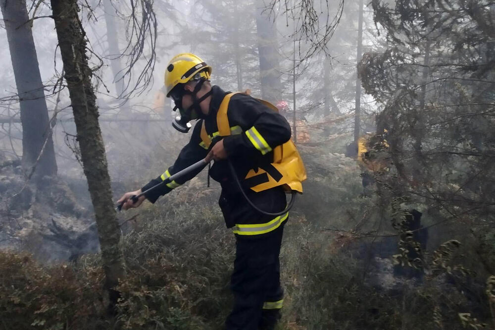 VIŠESATNA BORBA SA VATRENOM STIHIJOM U BORU: Vatrogasci sprečili širenje požara na naselje