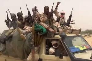 NIGERIJSKA VOJSKA: 335 ekstremista Boko Harama predalo oružje i povuklo se iz militantne grupe
