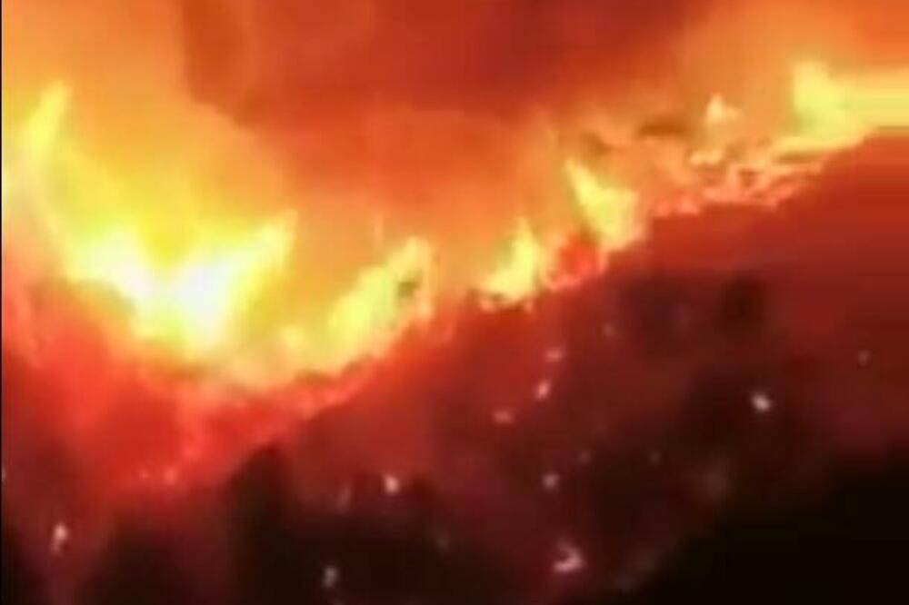 RASTE BROJ ŽRTAVA U ALŽIRU: U šumskim požarima stradalo 65 ljudi, proglašena trodnevna žalost VIDEO