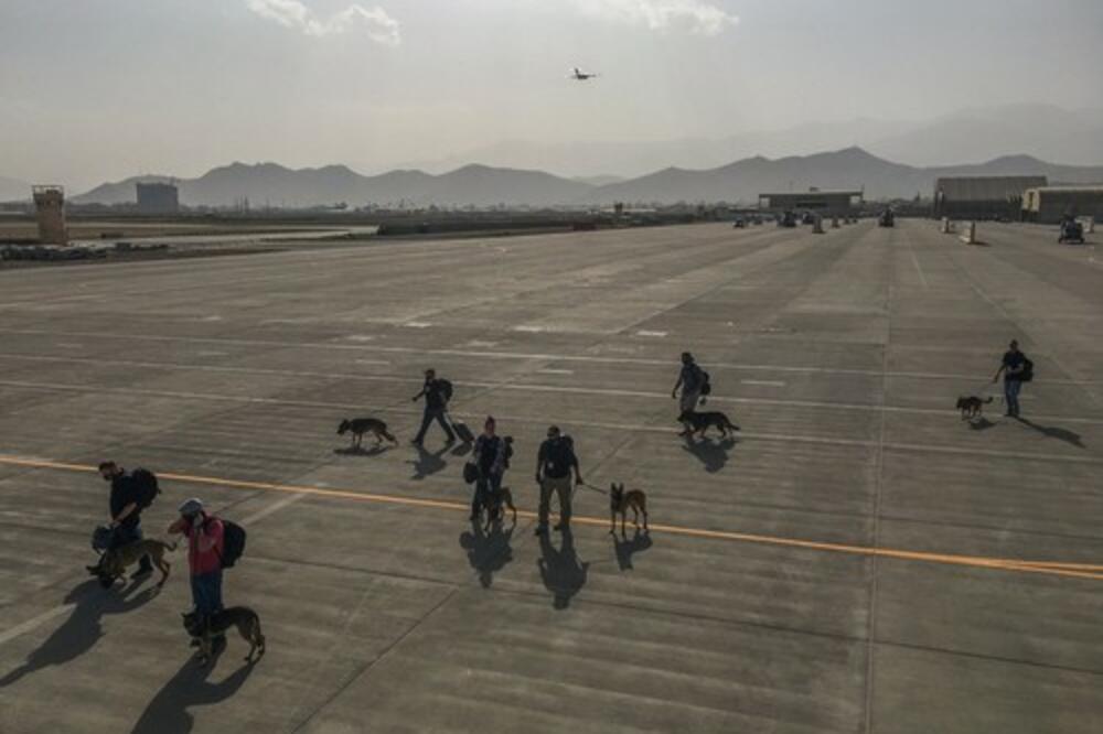 UZBUNJIVAČ OSRAMOTIO BRITANSKU VLADU: U Avganistanu su spasavali pse nauštrb ljudi, mnoge od ostavljenih su ubili talibani VIDEO