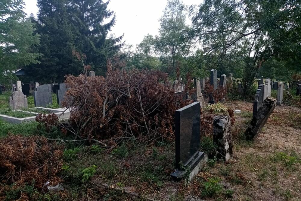 POKOJNICIMA NE DAJU DA POČIVAJU U MIRU: Sekli drva na groblju, pa granje bacali na spomenike (FOTO)