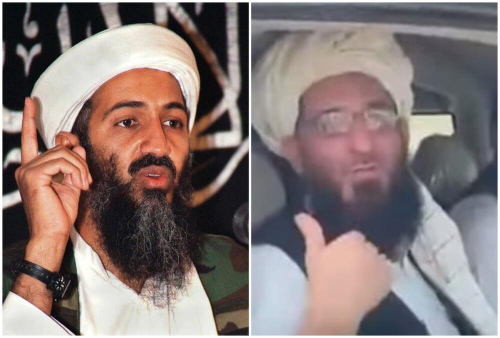 Al kaida, Amin ul-Hak, Talibani, Avganistan, Osama Bin Laden