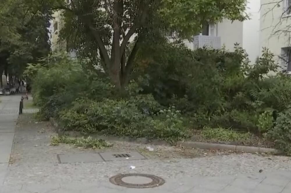 AVGANISTANAC TEŠKO POVREDIO NEMICU U BERLINU: Smetalo mu što žena radi u parku! VIDEO