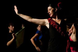 OVAJ SVET POSTAJE VRLO TUŽNO MESTO: Zašto je španski flamenko na ivici opstanka?