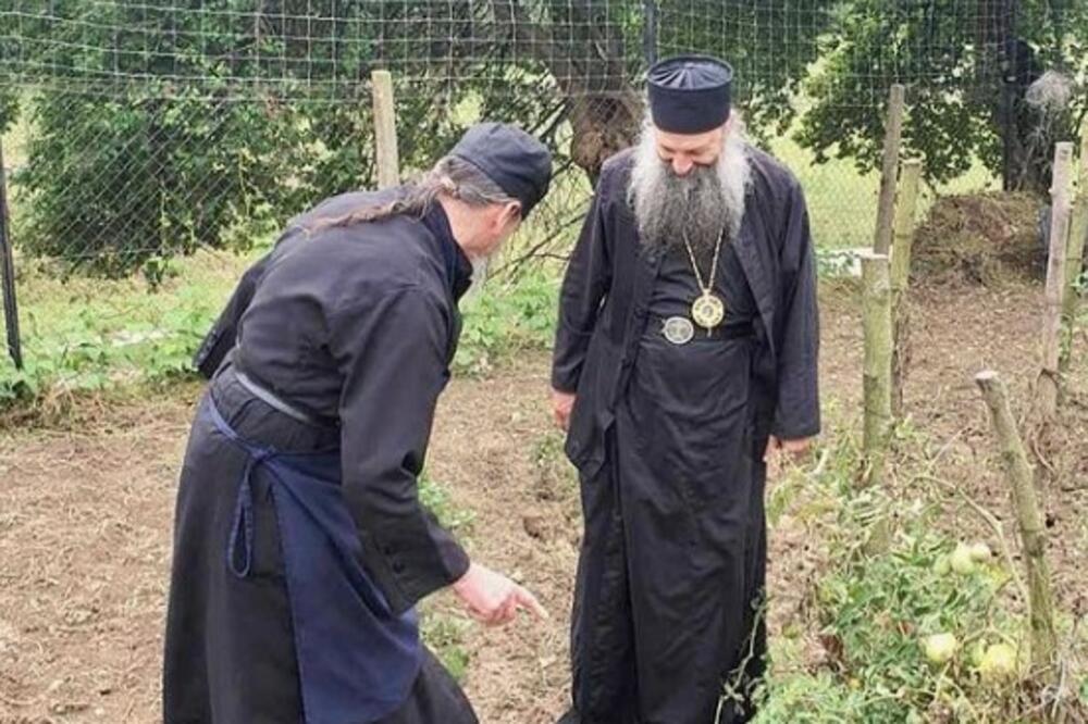 NEDOSTAJU MI TI JEDNOSTAVNI, A BLAGOSLOVENI POSLOVI: Patrijarh u bašti pored pritke s paradajzom! Slika kakvu dosad niste videli
