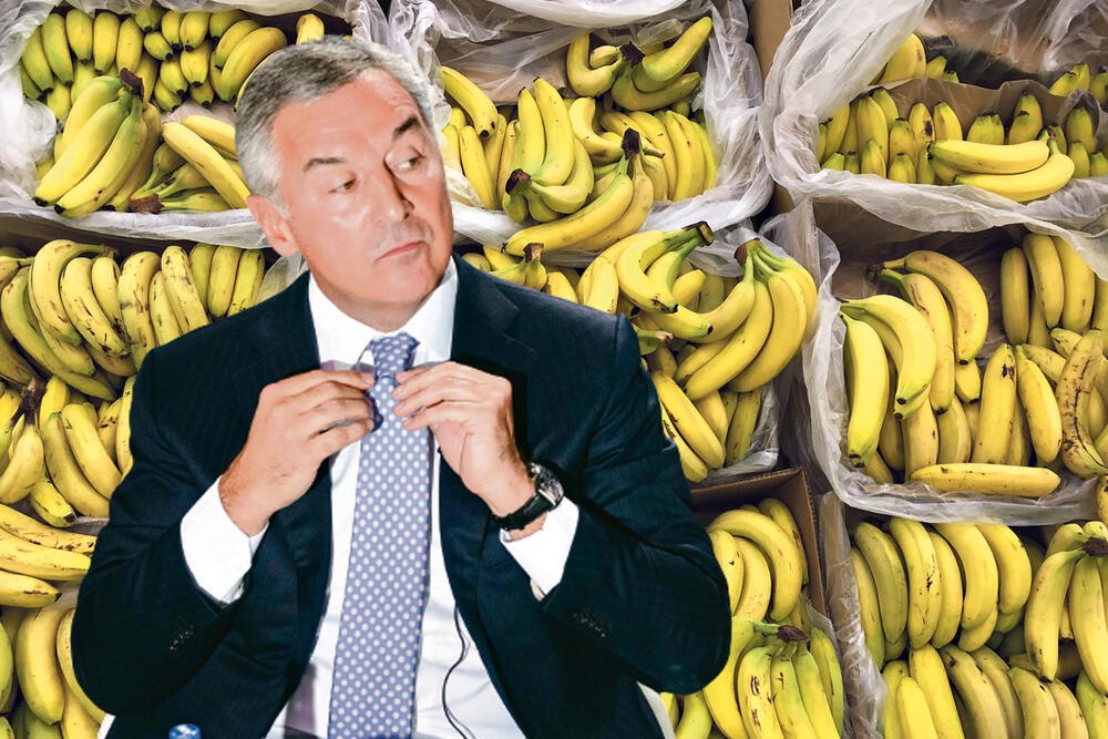 Milo Đukanović, banane