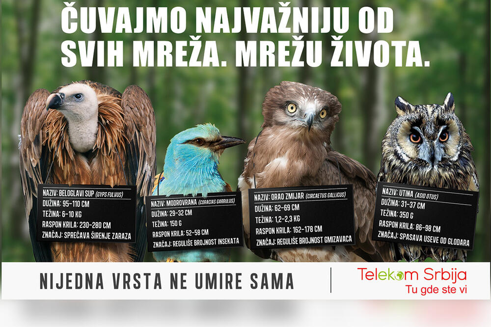 „Nijedna vrsta ne umire sama“ – nova kampanja Telekoma Srbija