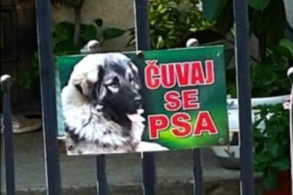 LJUDI BEŽALI OD RAZJARENOG ŠARPLANINCA: U Crnoj Bari kod Bogatića veliki pas preskočio ogradu i napadao prolaznike, DVOJE UJEO!