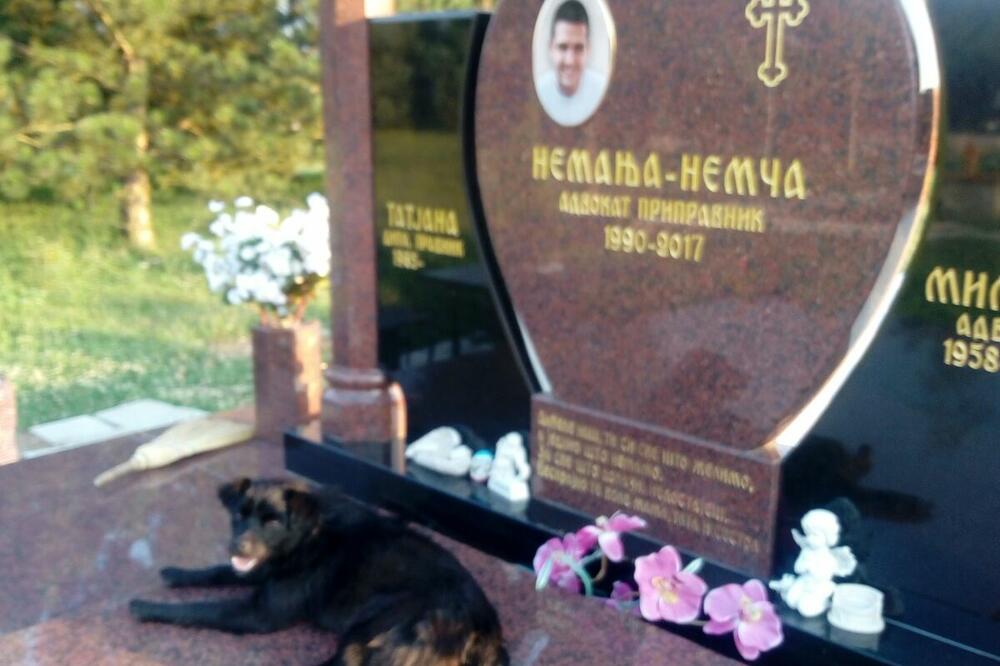 POTRESNA ISPOVEST OCA UBIJENOG NEMANJE: Na grobu mog sina 4 godine spava pas koji je bio uz njega i u noći likvidacije!