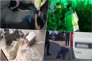 VELIKI USPEH SRPSKE POLICIJE I EVROPOLA: Razbijeni balkanski kartel i kavački klan, zaplenjeno 2,6 tone Titovog kokaina!