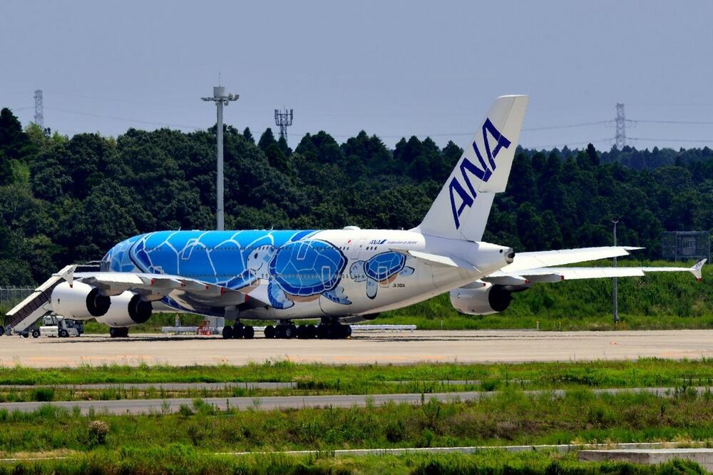 All-Nippon Airways Airbus A380