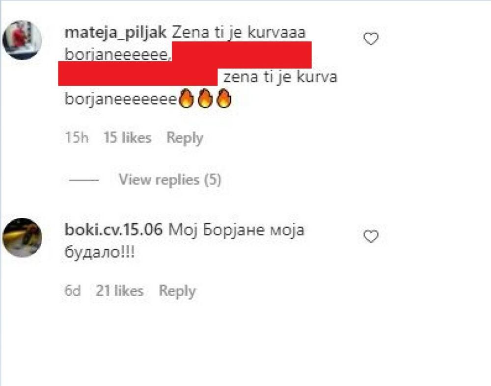 komentari Snežana Borjan