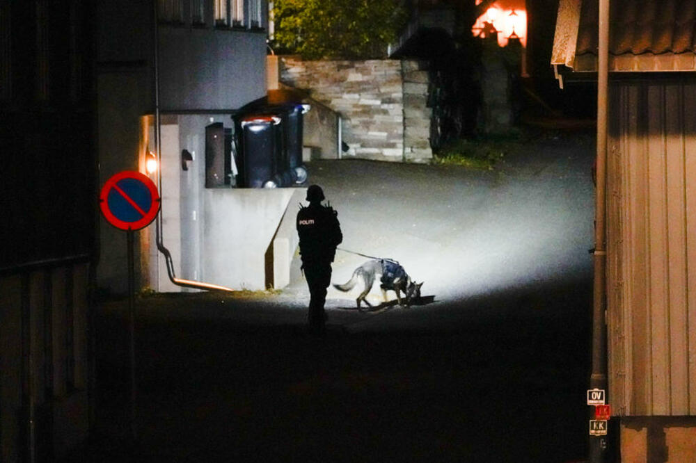 Norveška, napad, norveška policija