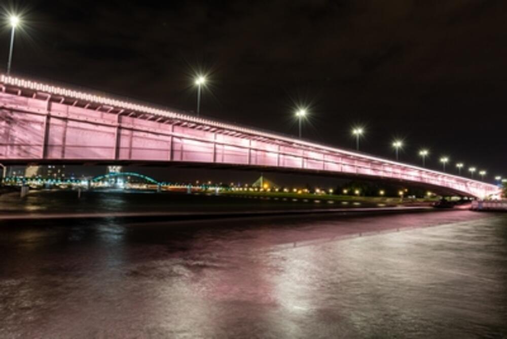 Brankov most, Brankov most u roze boji