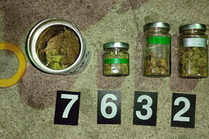 AKCIJA GNEV U SOKOBANJI: Pronađena sveža i sušena marihuana i kompletna OPREMA ZA UZGOJ OVE DROGE