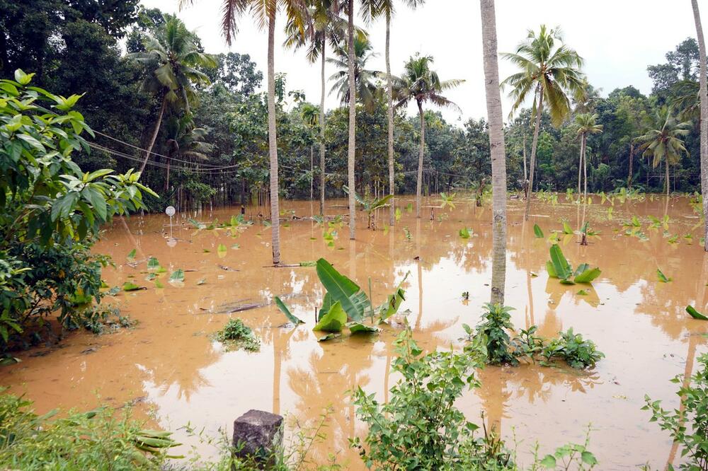 0638361896, Indija, Kerala, poplave