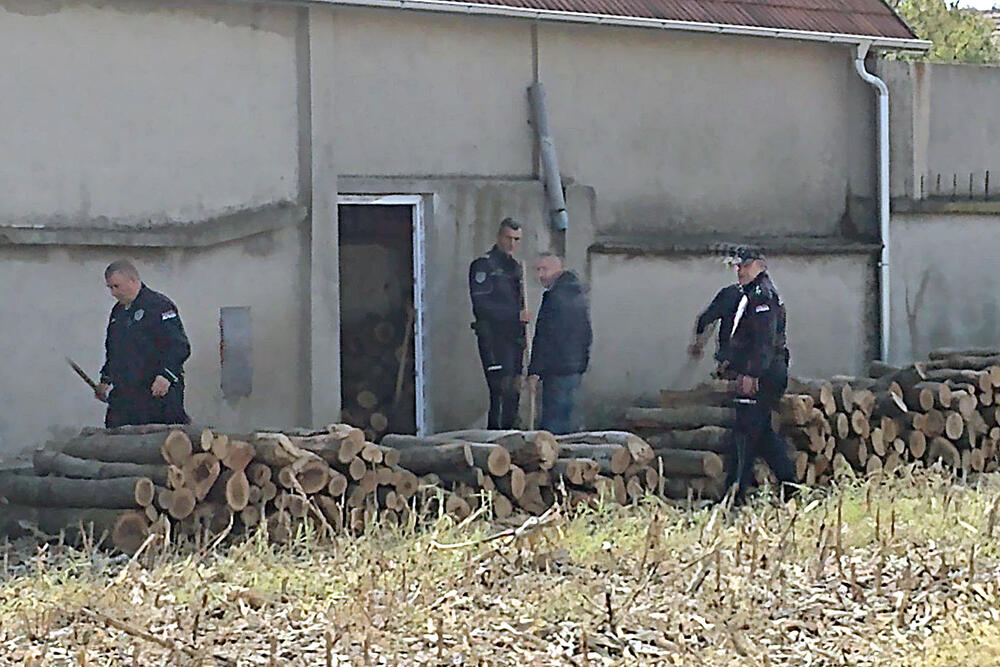 Goran Džonić, porodica Đokić, Ubistvo, policija, pretraga, pretres kuće