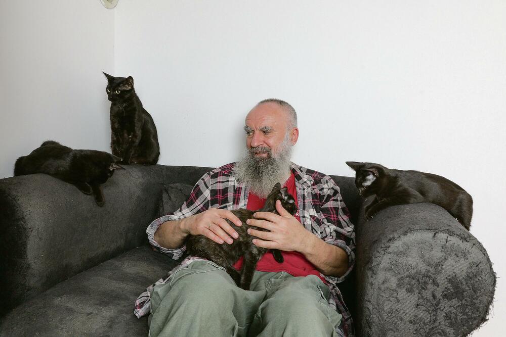Momčilo Petrović, Reportaža, mačke, mačići
