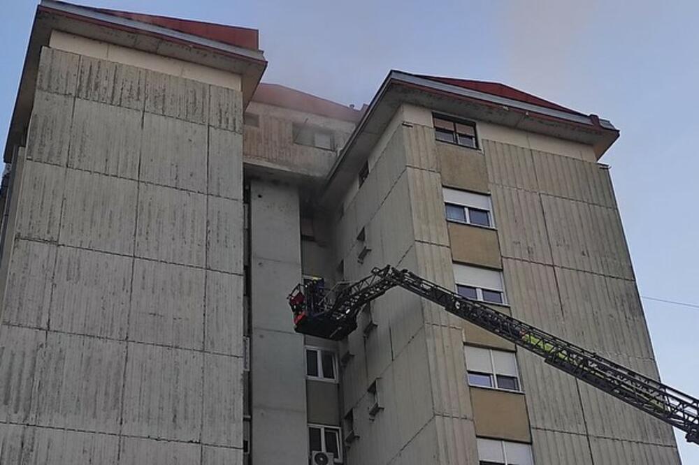 POŽAR NA LIMANU U NOVOM SADU: Gori stan na petom spratu, vatrogasci evakuišu STANARE (FOTO)