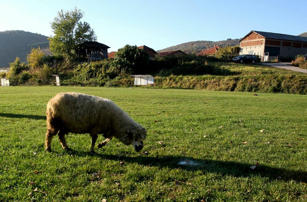 jesen, Sićevo, 27.okt 2021, selo, srpsko selo