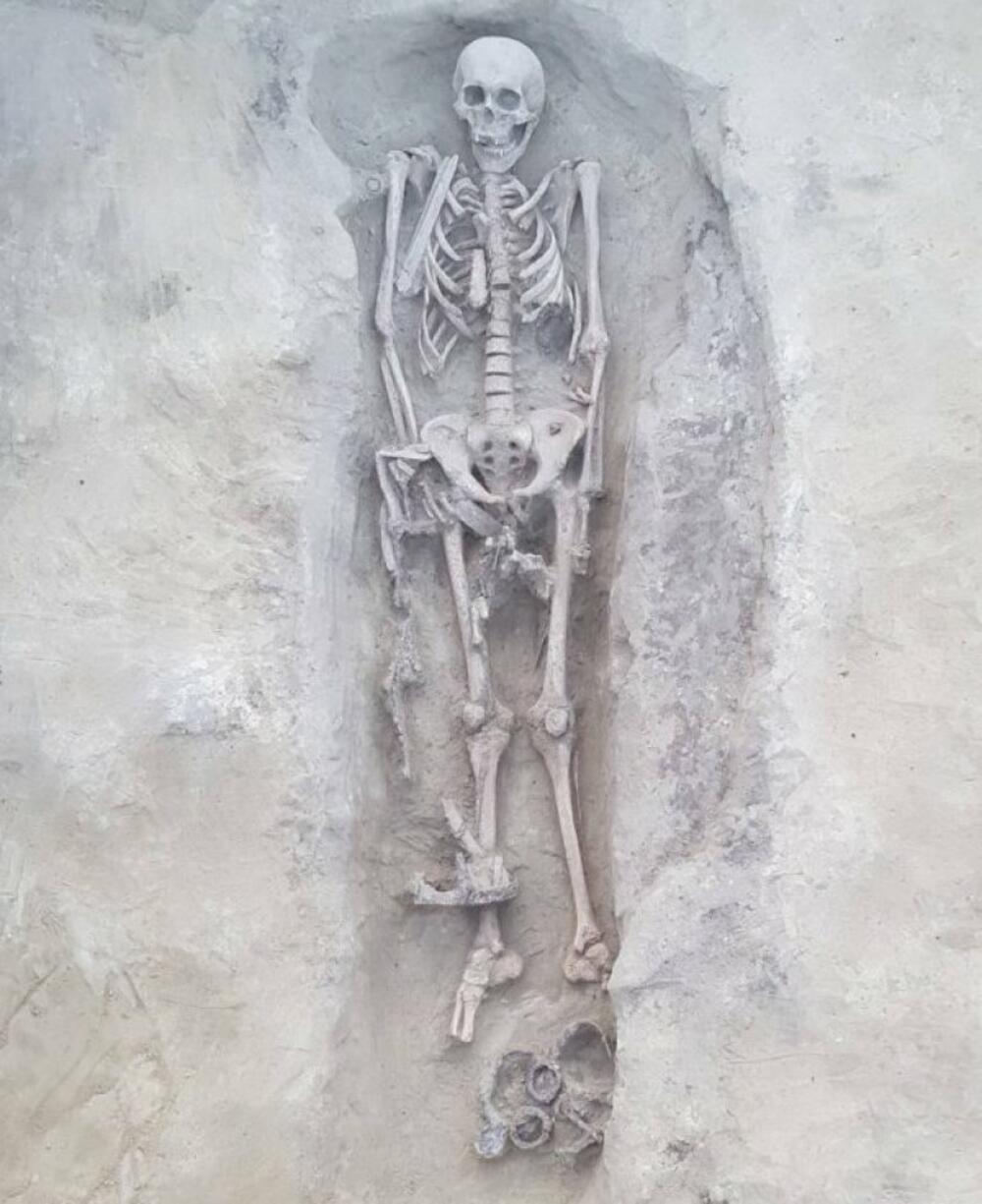 Mokrin, arheološko nalazište, skelet ratnika