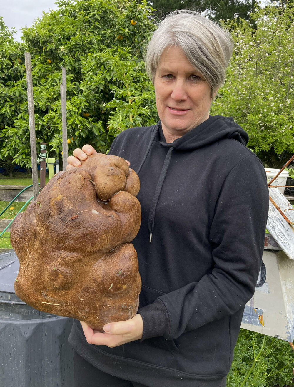 Dona Kreg Braun, Novi Zeland, krompir