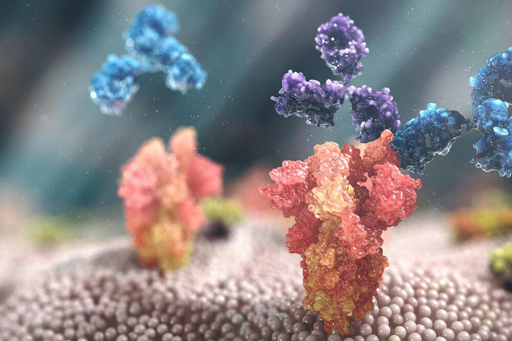Studije pokazale – novo anitelo koje je razvila kompanija AstraZeneca pruža dugotrajnu i efikasnu zaštitu