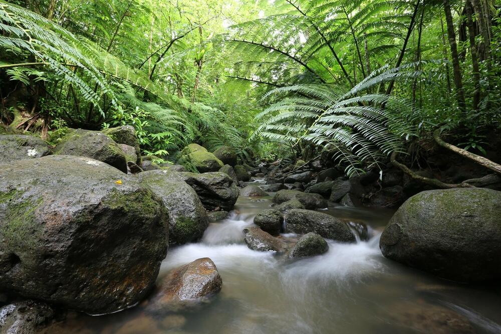 0393490007, Havaji, Oahu, potok