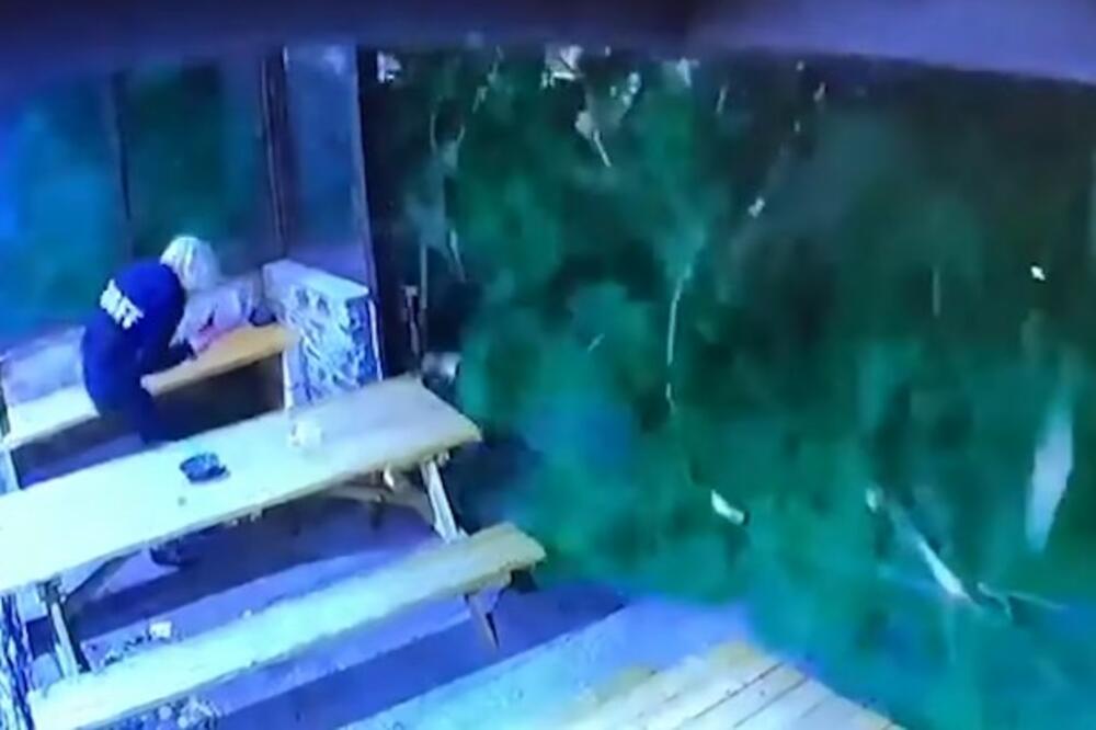 CIGARETA JOJ SPASILA ŽIVOT: Menadžerka paba izašla na puš pauzu par trenutaka pre nego što je sve uništilo veliko drvo! VIDEO