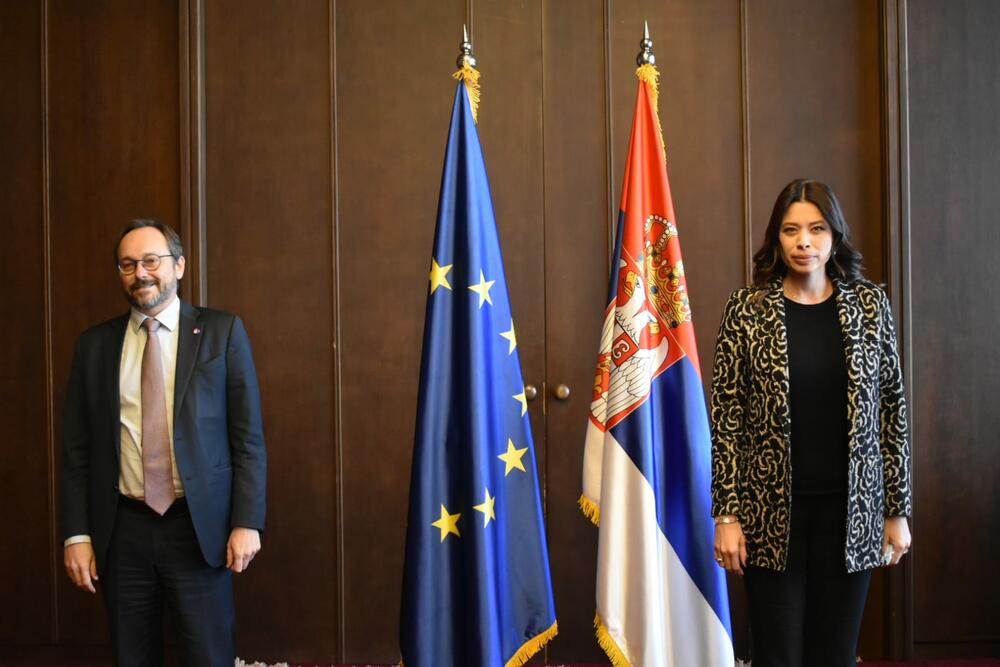 Irena Vujović, Ministarstvo zaštite životne sredine