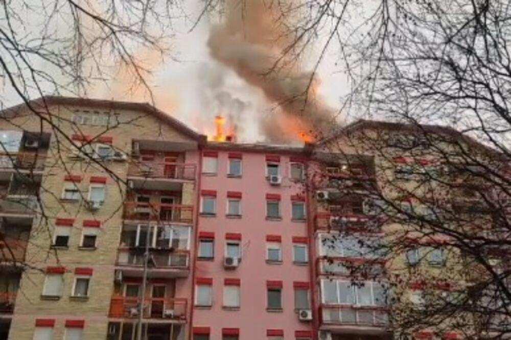 VELIKI POŽAR U NOVOM SADU: Zapalio se krov, stambena zgrada evakuisana, sve raspoložive ekipe na terenu