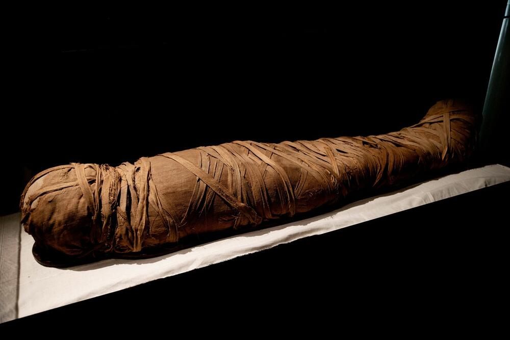 Mumija, ilustracija