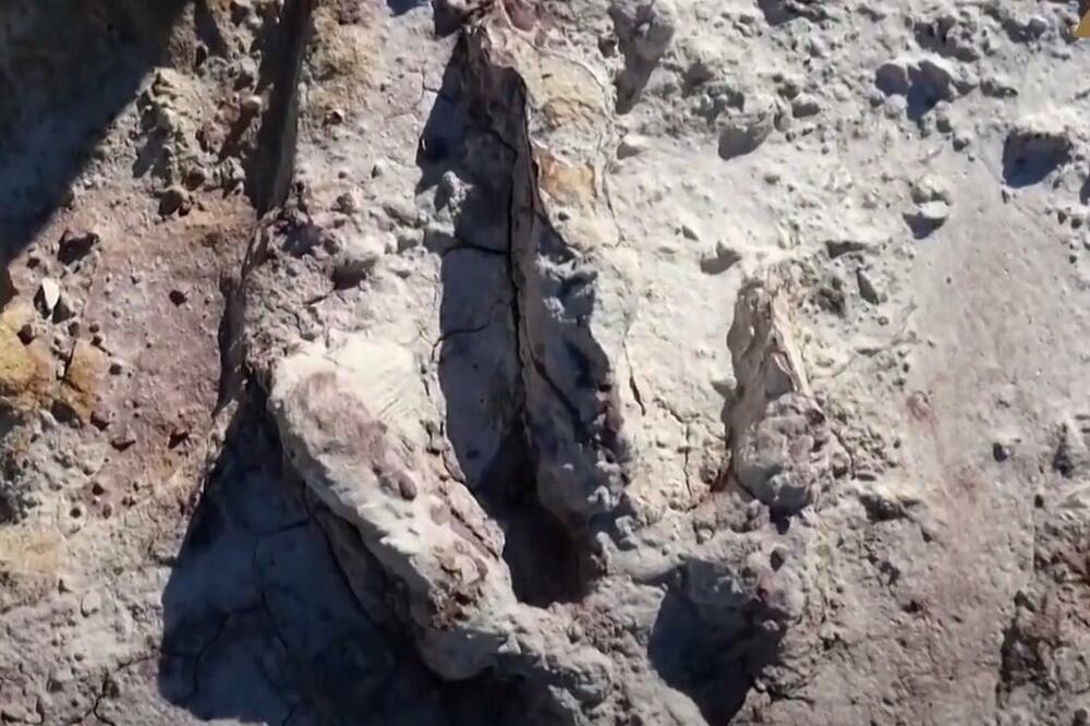 PROZOR U SVET STAR 200 MILIONA GODINA: Poljski naučnici pronašli stotine dobro očuvanih stopa i kostiju dinosaurusa